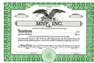 5000 SHARES UNISSUED MNP INC TENNESSEE BLANK MODEL RR CAPITAL STOCK CERTIFICATE