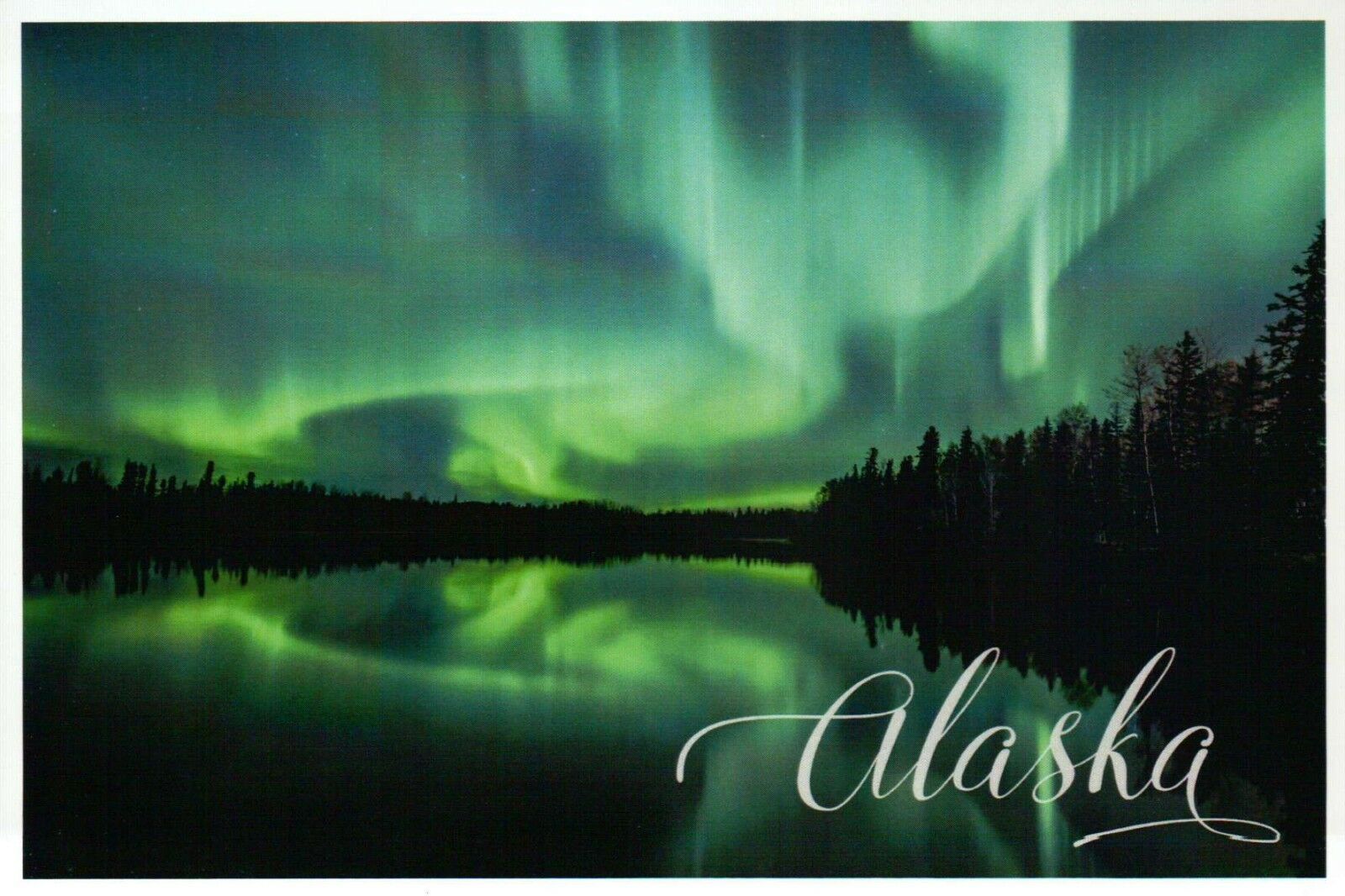 Northern Lights Over Lake, Denali Alaska, Aurora Borealis, Trees, Ak -- Postcard