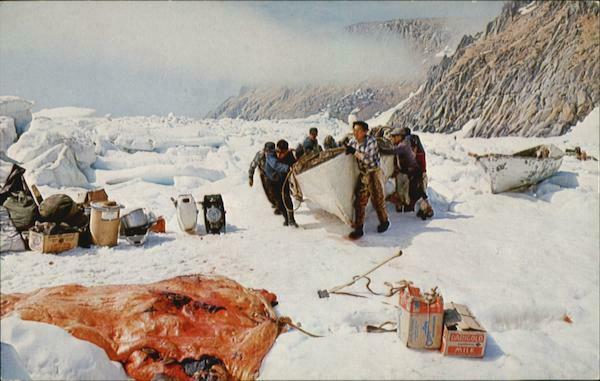 Ukivok,ak Walrus Hunters Hunting Alaska C.p. Johnston And Co. Chrome Postcard