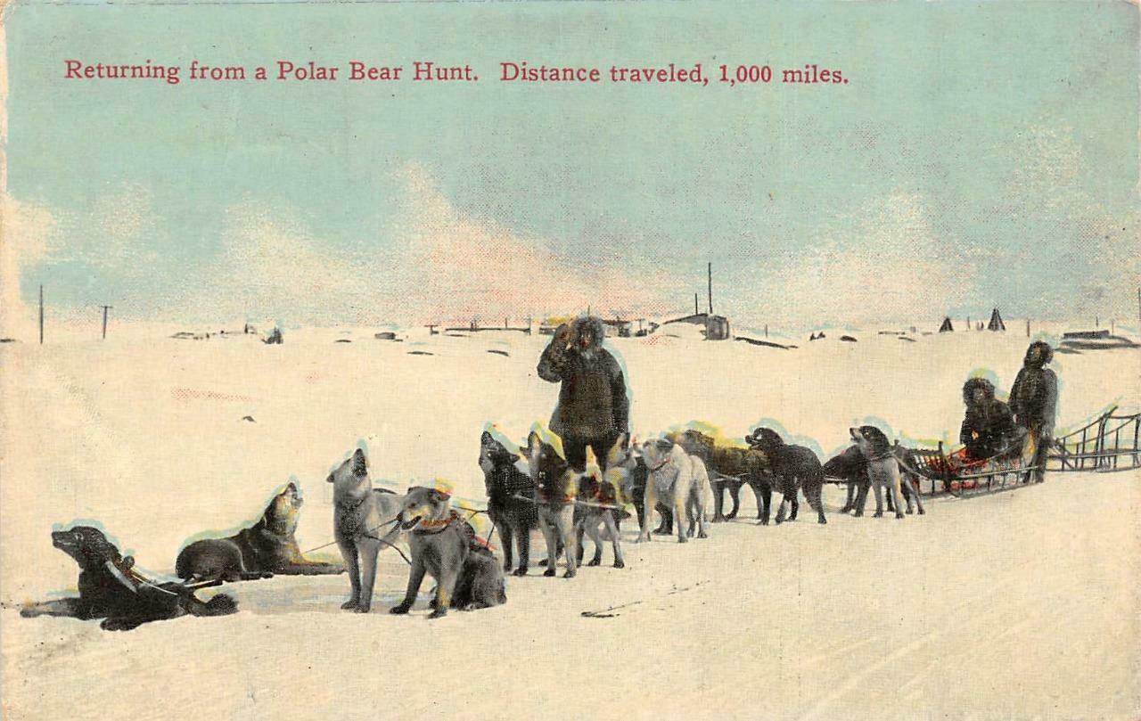 AK, Alaska SLED DOG TEAM~HUNTERS Returning From Polar Bear Hunt c1910's Postcard