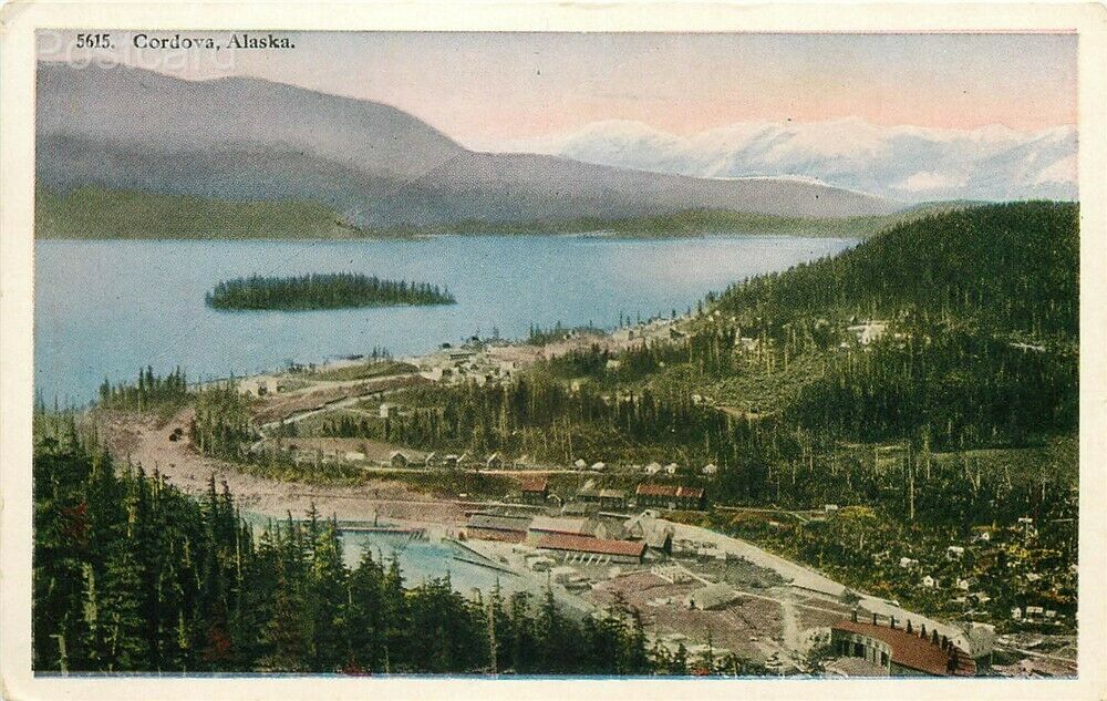 AK, Cordova, Alaska, Town View, H.H. Tammen No. 5615