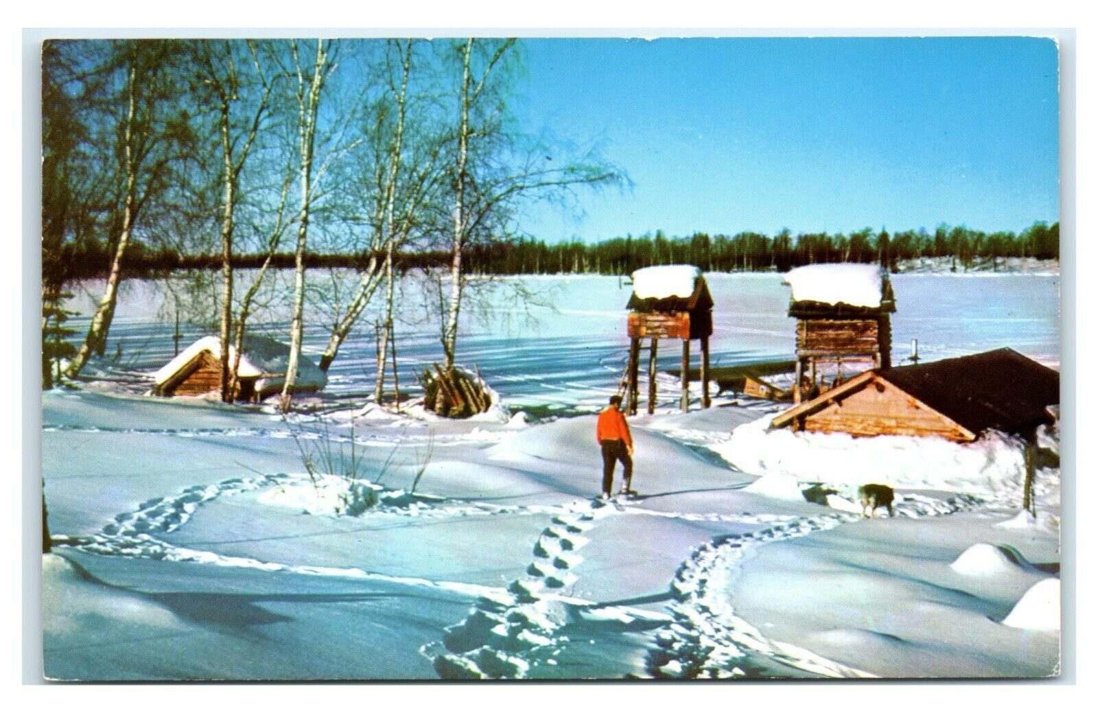 Postcard Trappers Camp on Frozen Sucker Lake, Alaska AK 1960's AJ17