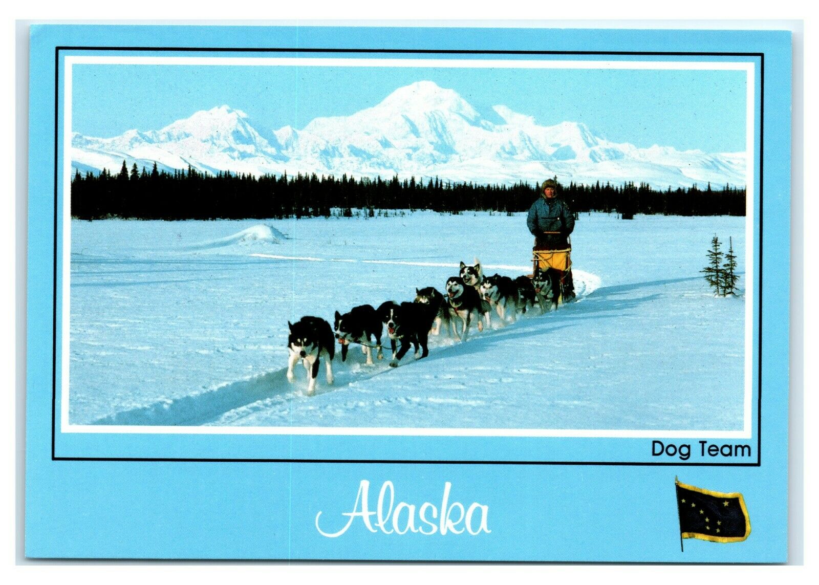 Postcard AK Alaska Dog Team - blue trim w/State Flag AJ4