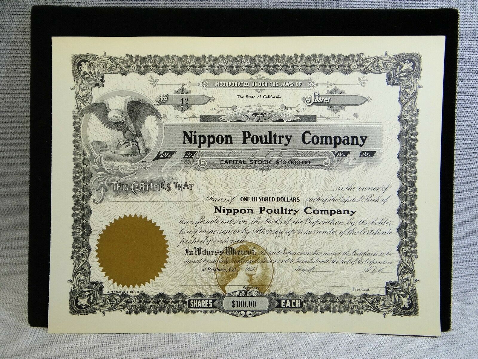 Petaluma California Stock Certificate Nos Unused Egg Company Poultry